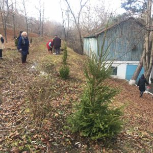 Acțiunile de salubrizare din cadrul Campaniei „Curățenia generală de toamnă (evacuarea frunzișului)” au luat sfârșit